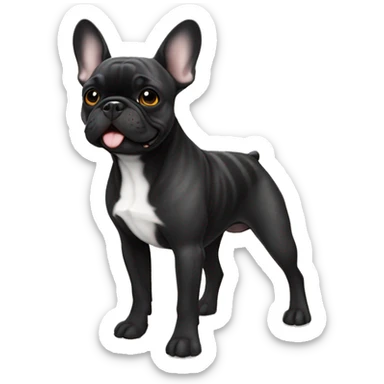 Black brindle French bulldog ￼ sticker