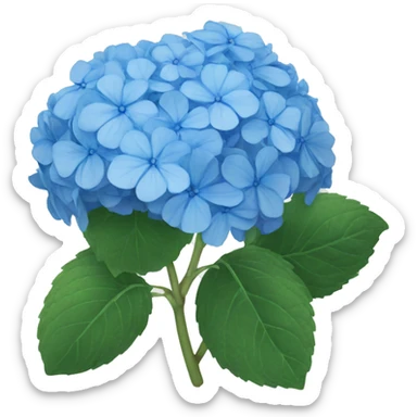 blue hydrangea  sticker