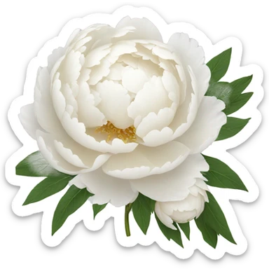 white peonies sticker