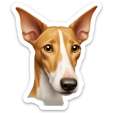 Podenco ibicenco dog sticker