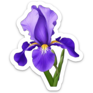 Iris flower sticker
