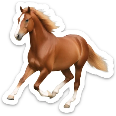 Freiberger horse, chestnut colour, cantering  sticker