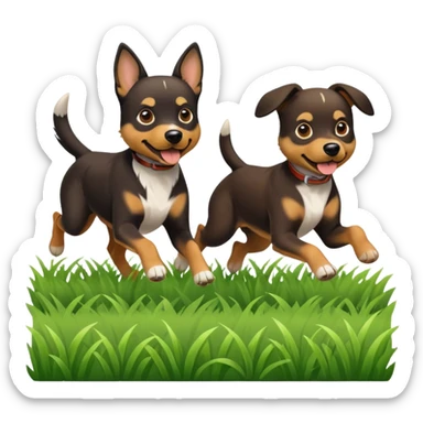 Shadow and Chance sticker