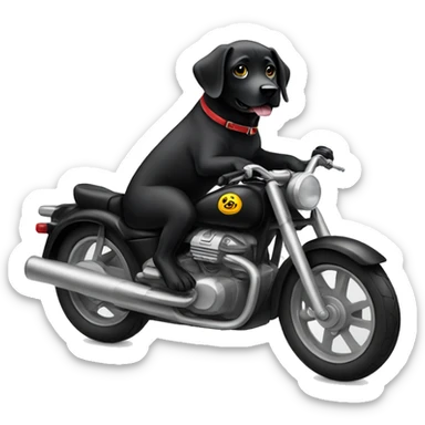 cool black lab riding motorbike sticker