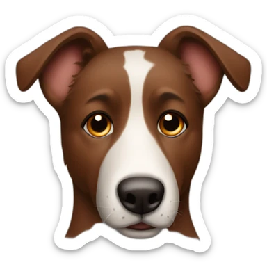 brown australien sheperd with brown dspot on nose sticker