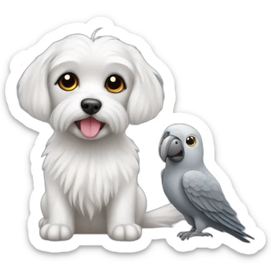 Maltese dog and gray parrot sticker