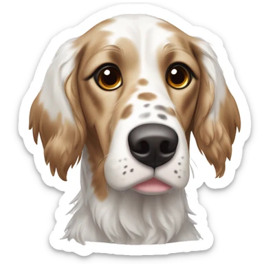 English Setter face, brown eyes, black face and ears, white patch on right cheek, white patch on top of head, NO BROWN FUR COLORATION sticker