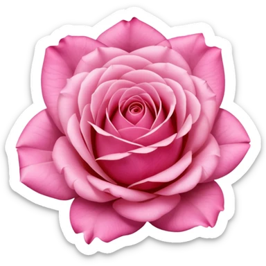 Polaroid photo of a pink rose  sticker