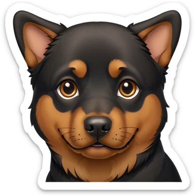 Rottweiler/German Shepard mix. sticker