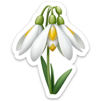 snowdrop flower with sun sticker