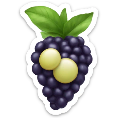 açaí fruta sticker
