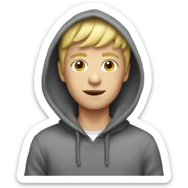 blonde boy in hoodie indoors sticker