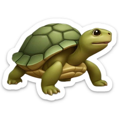 Raton laveur sur une tortue sticker