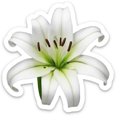 Lily sticker