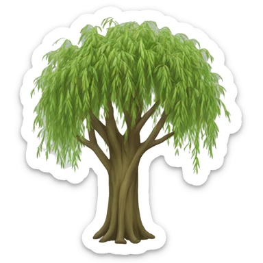 A willow tree  sticker