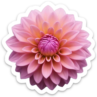 Dahlia sticker