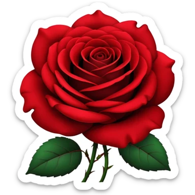 black rose, without green leaves, just flower sticker