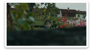 A portrait of a person in the foreground, blurred plants in the foreground (frame within a frame), a wooden fence and colorfull flowers in the midground, Poland, rolling hills in the background, cinematic depth of field, layered composition, natural lighting sticker