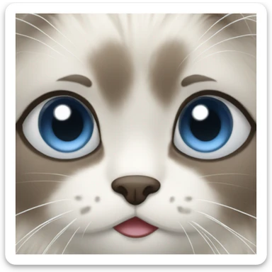 Ragdoll with good sticker