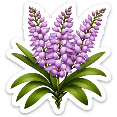 big bouquet Rhynchostylis Orchid, stem, leaf, luxuriant sticker