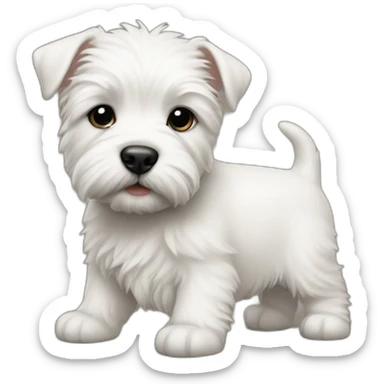 baby with westie sticker