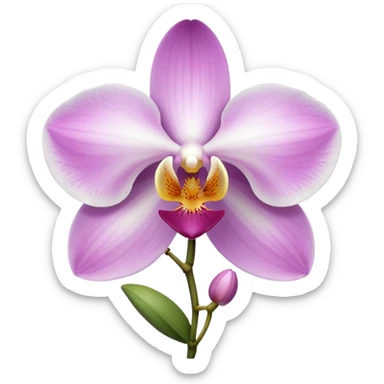 orchid sticker