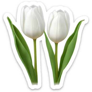 two white tulips sticker