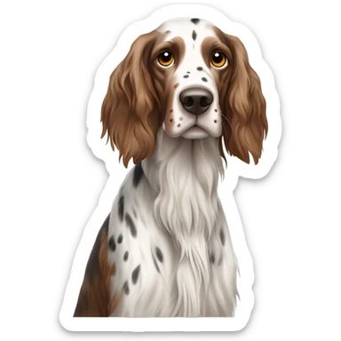 White and brown English setter sticker