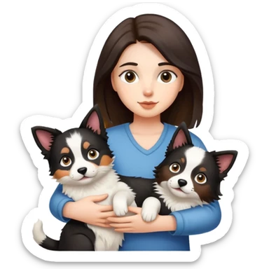 Girl holding a cat and a Border collie dog sticker