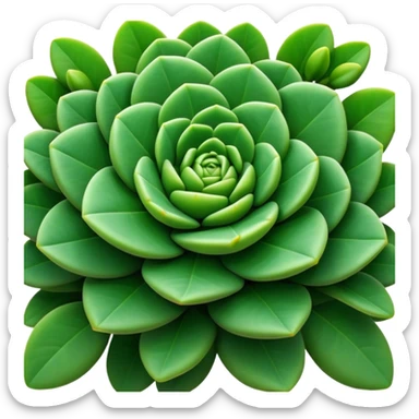 Cinematic Realistic Crassula Emoji, Compact and vibrant, with small, fleshy leaves arranged in thick, rounded clusters. The deep green hue of the leaves radiates calm, while their structured growth speaks of endurance. Soft glowing outline, capturing the essence of perseverance and tranquility in a crassula plant! sticker