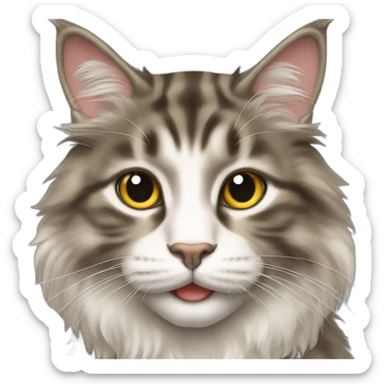Mainecoon cat, funny sticker