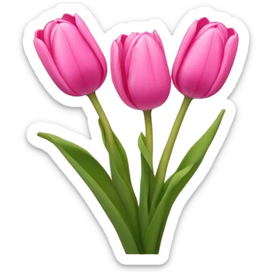 Pink tulips  sticker
