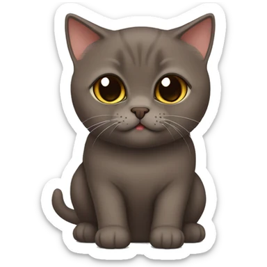 Chocolate brown British shorthair cat sticker