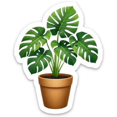 Potted plant, the potted plant contains Monstera deliciosa. sticker
