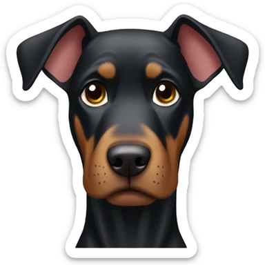 Dóberman with coat sticker