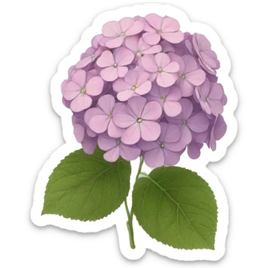 hortensia sticker