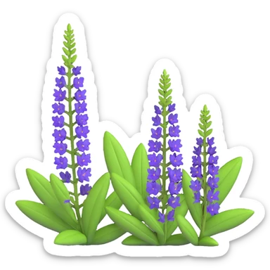 3D iOS emoji of Salvia nemorosa, with lush green leaves and tall purple blossoms, soft lighting, minimalistic yet realistic sticker