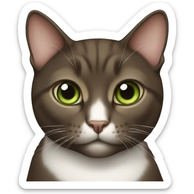 brown tuxedo cat with green brown eyes sticker