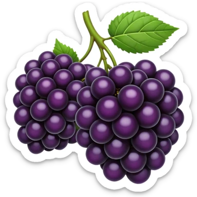 Blackberry sticker