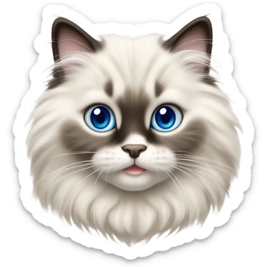 cute ragdoll kitten sticker