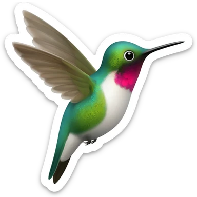 Colibrí sticker