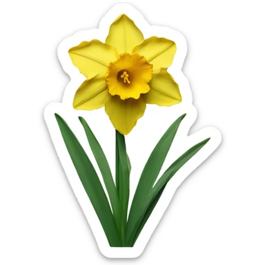 daffodil flowers sticker