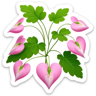 Dicentra spectabilis sticker