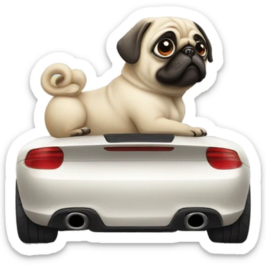 Pug in Porsche car sticker