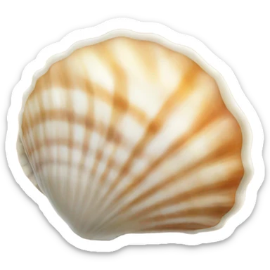 Sea shell sticker