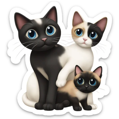 A Siamese cat with a calico cat with a black cat with white paws sticker