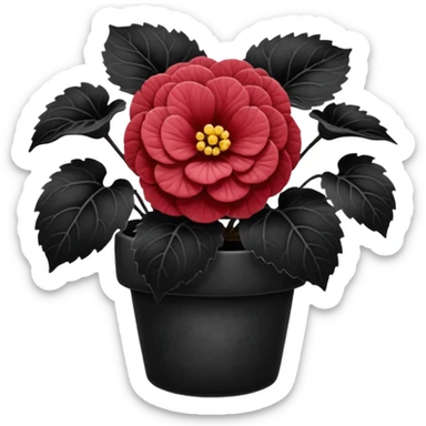 super realistic black begonia sticker