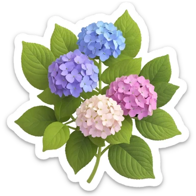 Highly detailed realistic hydrangea flower showing natural texture of many small flowers in a cluster, subtle color variations, and authentic leaf structure sticker