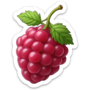 Framboise fruit sticker
