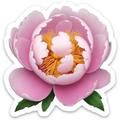 Peony sticker
